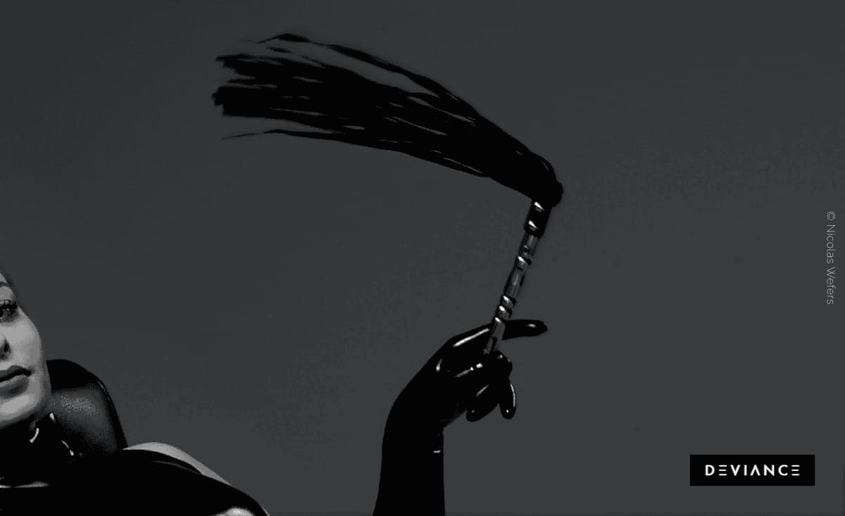 Flogger: la fusta para principiantes