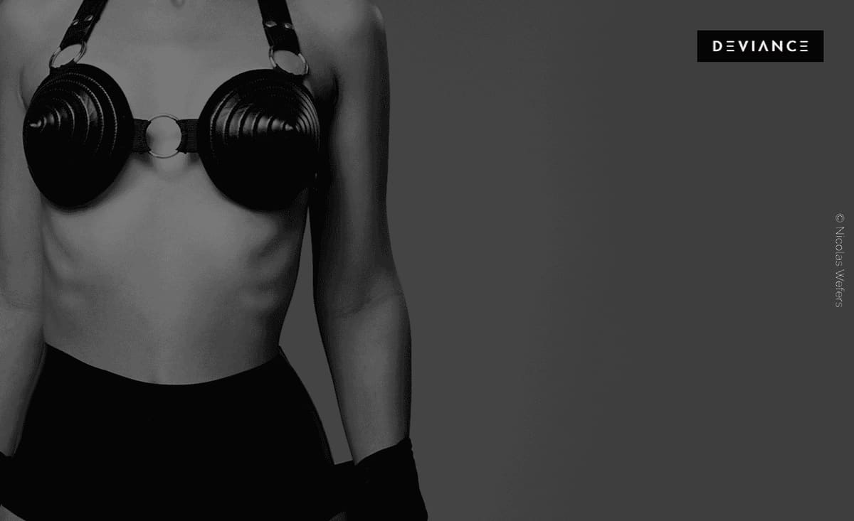 Feminizer: el arte de la feminización en el BDSM
