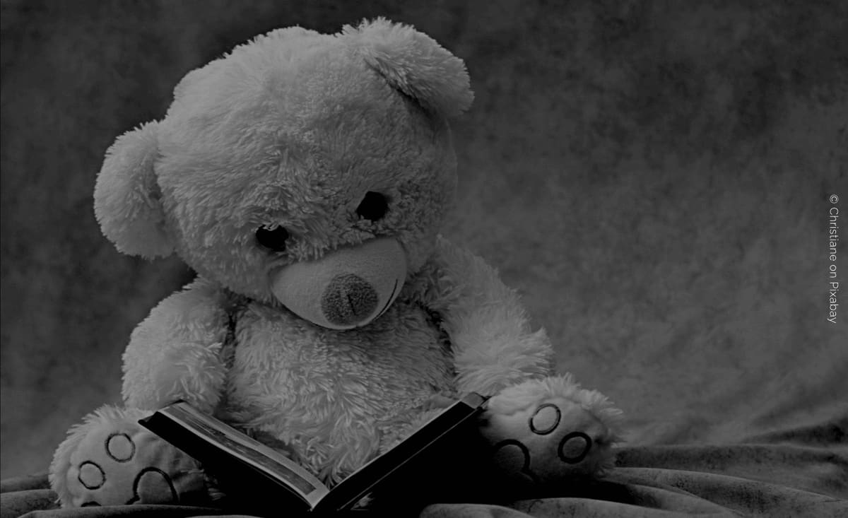 De peluche y fantasía: una mirada al mundo de la plushofilia