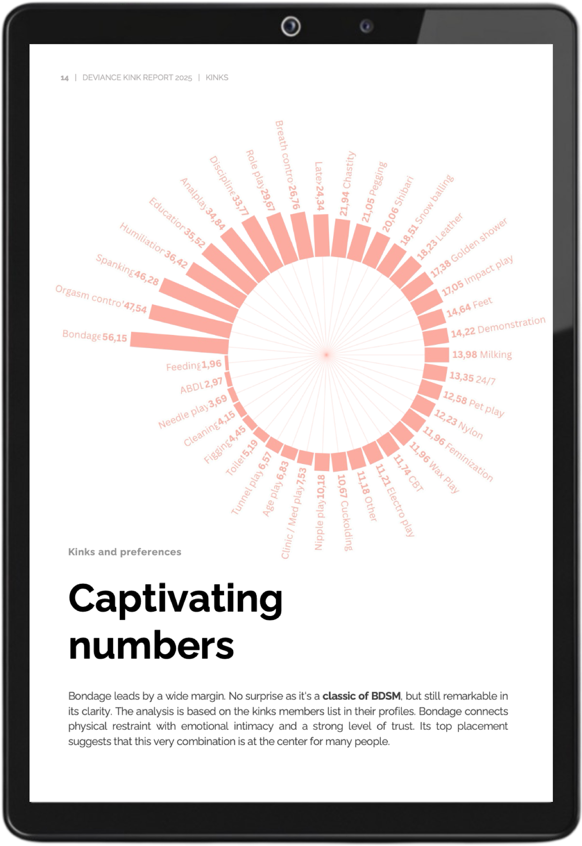 Página de muestra 4 del Informe Kink 2025