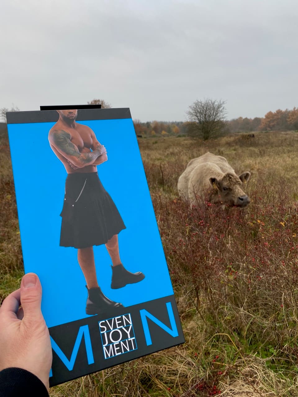 Una mano sostiene el envase de una falda masculina de Sven Joyment en un prado otoñal, con una vaca pastando al fondo