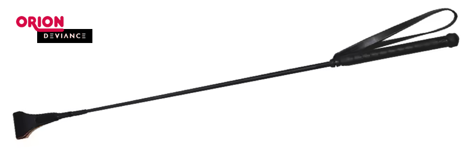 Eine freigestellte schwarze Gerte mit elegantem Griff und feiner Spitze, ein typisches BDSM-Accessoire.