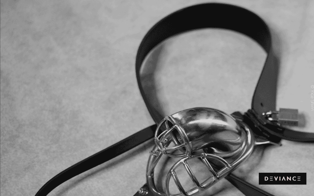 Keuschheitskäfig für einen Penis mit einem Harness